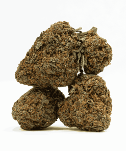 guava bomba cannabis indica 2
