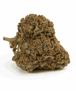 guava bomba cannabis indica 3