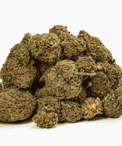 guava bomba cannabis indica 5