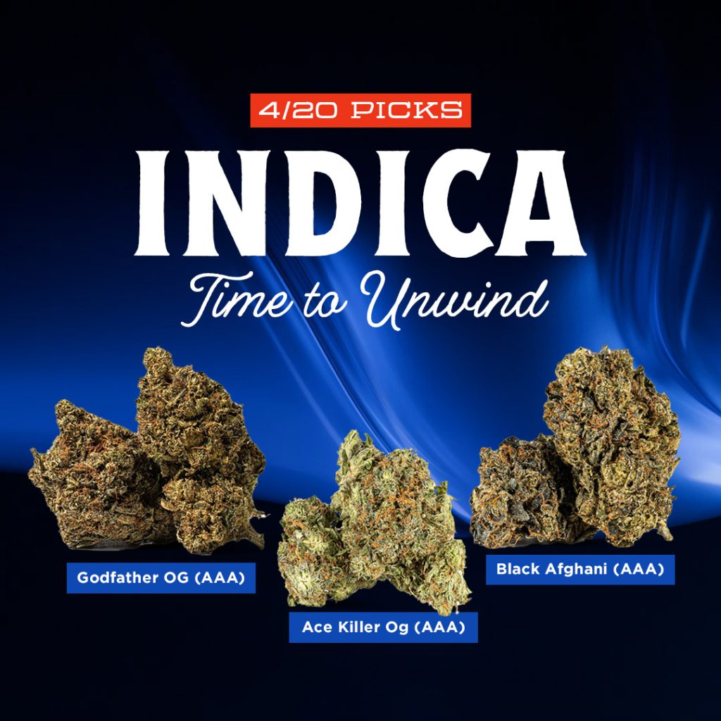 indica mobile