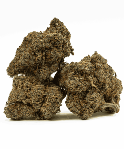 milk bone cannabis hybrid 2