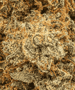 milk bone cannabis hybrid 4