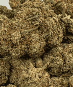 milk bone cannabis hybrid 5