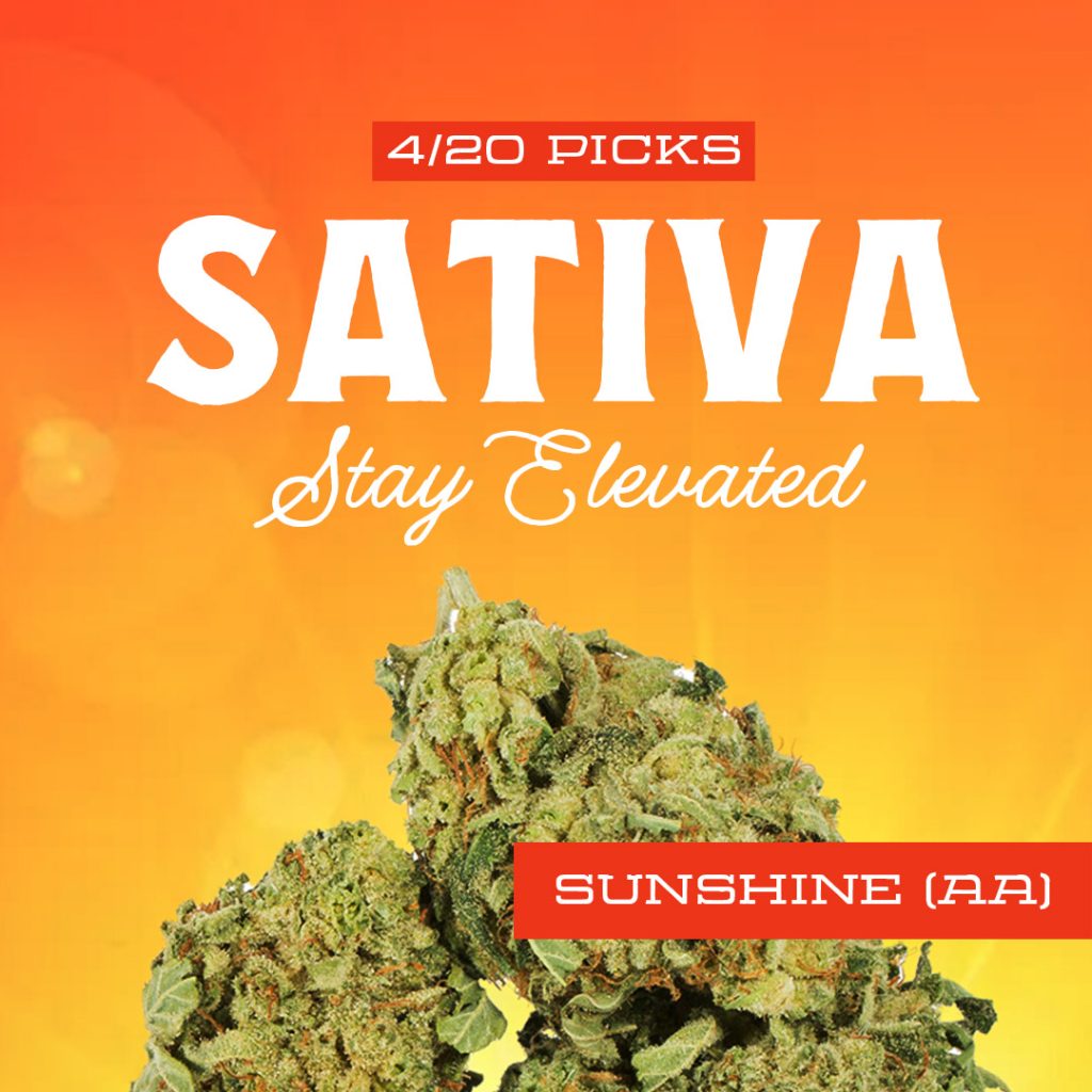 sativa mobile